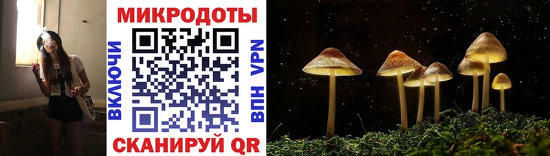 Псилоцибиновые грибы Magic Shrooms  Спас-Деменск 